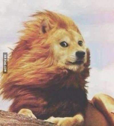 2882c324e6853ef53def86e129d27065c751e4568c9322cce28bf60b9e7ccaf3ca019a1e1180cb4382fc1ed313704a76b3f6ff10a7427b0956275b4f4a26b7dcf5c7baad