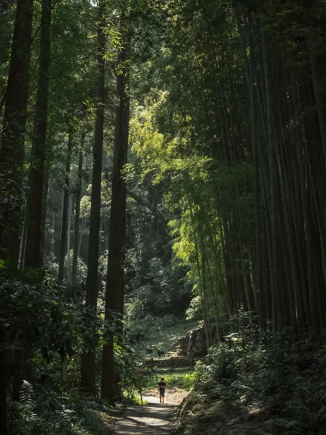 1a98f219d58368f63bec86ed5b836a2a829e8ba797d36b52c08abecf52fed306