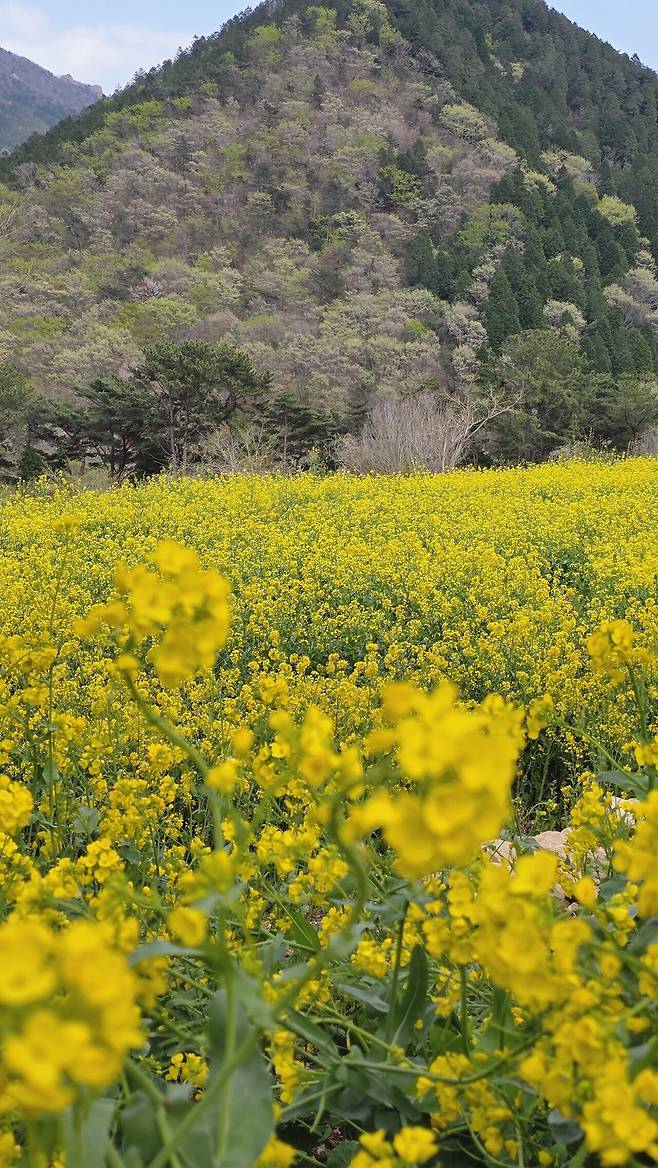 20250413_150350.jpg 남해여행