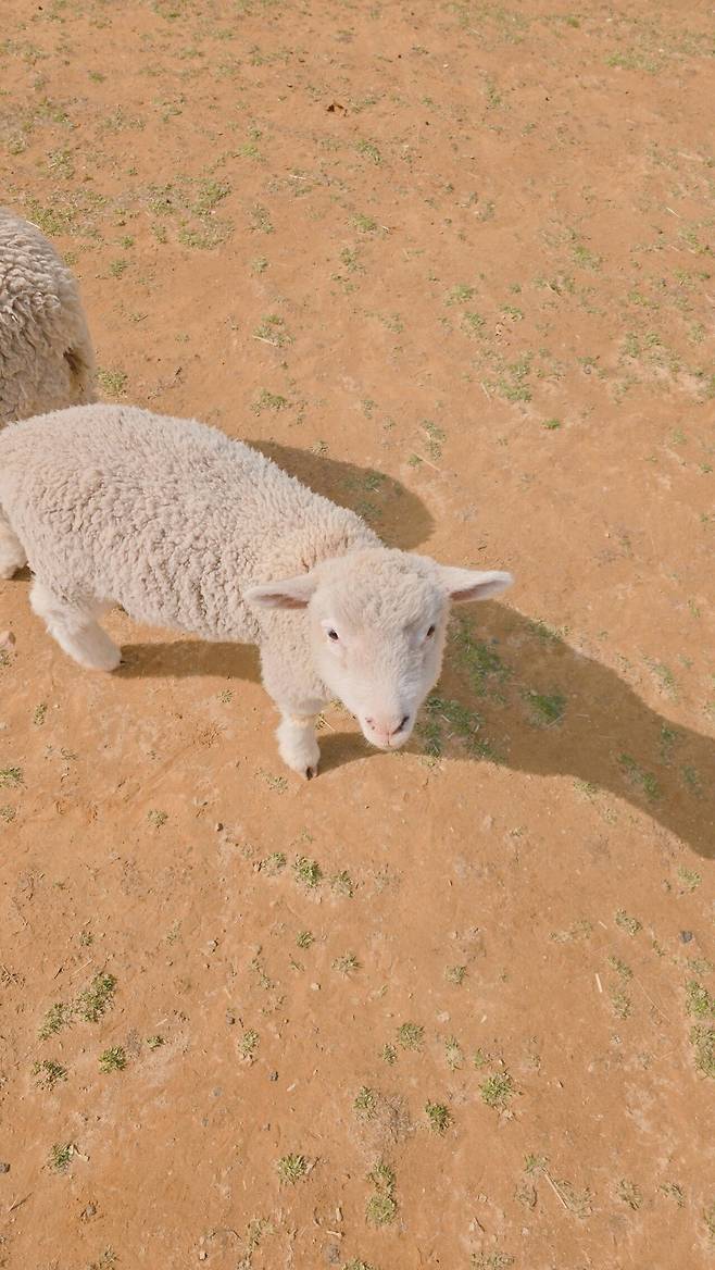 20250413_152513.jpg 남해여행