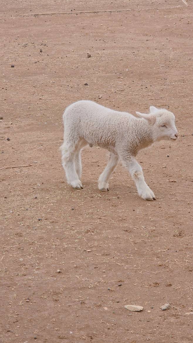 20250414_120323.jpg 남해여행