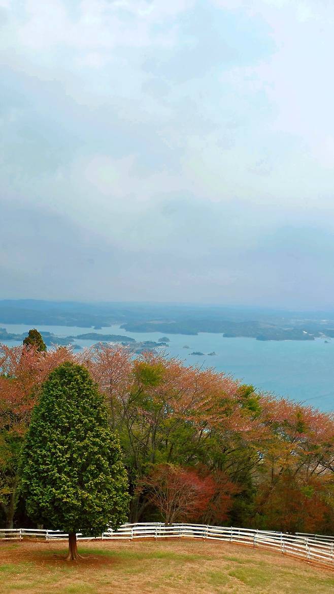 20250414_124536.jpg 남해여행