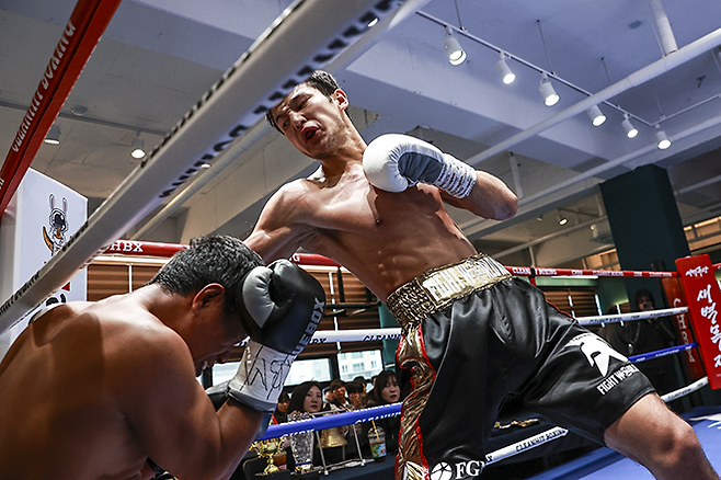 세계복싱협회 라이트급 아시아 챔피언 최시로가 2025년 2월 경기도 클린히트복싱짐 10라운드 국제전에서 강력한 공격을 하고 있다. 사진=FINAL FLASH 박종혁 기자