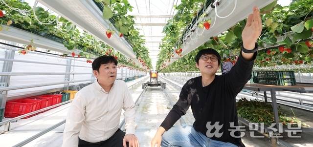 충북 청주 ‘베리원 딸기’ 농장에서 이현규 대표(오른쪽)와 컨설팅을 맡은 신황호 NH농협은행 농업금융부 차장이 딸기 생육 상태를 살펴보고 있다. 청주=김병진 기자