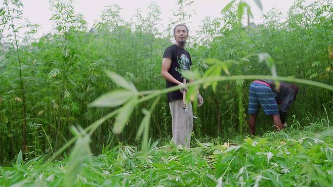 제목 : 풀상영시간 : 89분  청소년관람불가, 감독 : 이수정, 출연 : 권용현, 천호균, 보리, 이명현, 강병석, 빌스택스, 김도, 배급 : 미디어나무㈜ 제작·공동배급 : 생의 한가운데