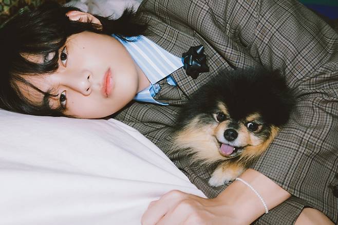하늘의 별 됐지만 여전히 ♥..방탄소년단 뷔 반려견 연탄, 빌보드 '전 세계에서 가장 사랑받는 ★반려동물'