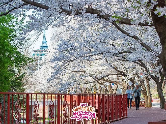 인스타그램 @olivestar_official