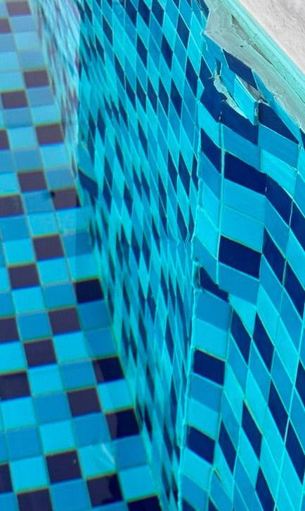 온라인 커뮤니티 갈무리.