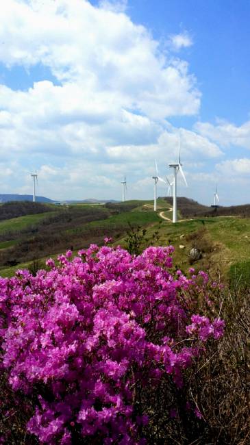 ▲ 곤신봉에서 바라 본 백두대간 능선