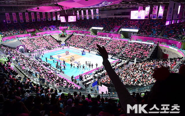 사진=김영구 기자