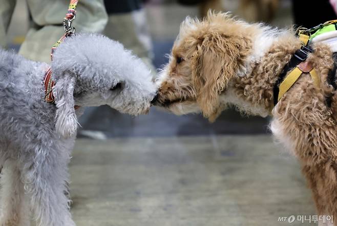 /사진=(고양=뉴스1) 박정호 기자