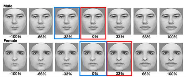 상단은 남자 얼굴, 하단은 여성 얼굴을 입술 두께별로 나열한 예시. 여성이 선호하는 입술 두께는 빨간 박스, 남성이 선호하는 두께는 파란 박스다. 빨간 박스가 파란 박스보다 우측에 있다. [왕립 학회 학술지(The Royal Society Publishing)]