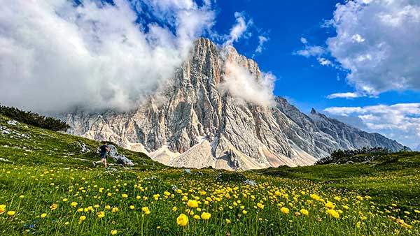 티씨산장을 불과 몇 백 미터 남겨놓은 언덕에는 치베타를 배경으로 천상의 화원이 기다린다.