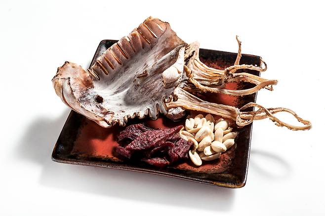 마른 오징어. 클립아트코리아 제공