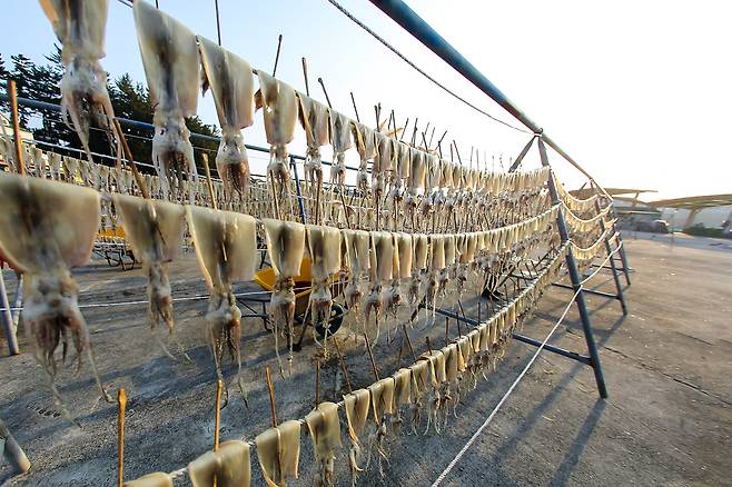 클립아트코리아 제공