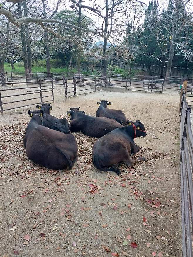 7fed8273b58668f551ee84e64e857473d2d662fb21a66ca6a59b6dc4e28e7a5c