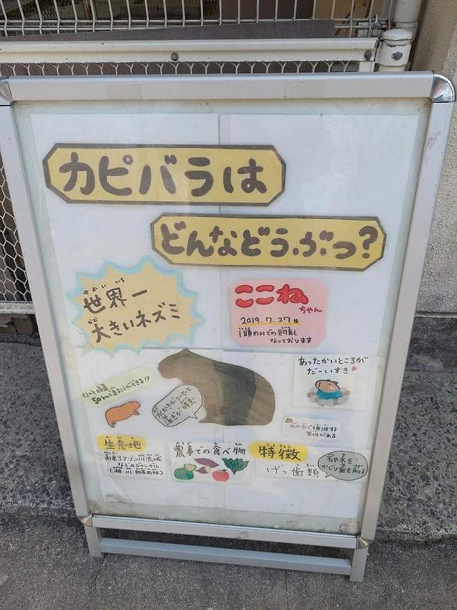 7fed8273b58668f551ee84e147817373884549bab7ec343f07d2f6fed4d9cb44