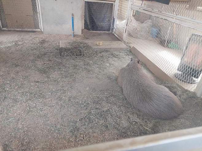 7fed8273b58668f551ee84e147807c734ae056e74d5cb525ef9a17b76d4fb398