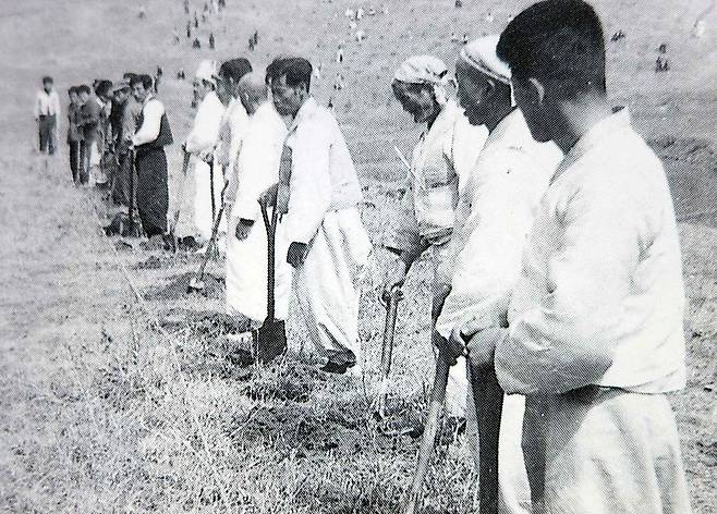 1958년 충북 청원군 남일면 산암리 산림계(임산물 생산 지역공동체) 조림 현장. 출처 산림조합 30년사