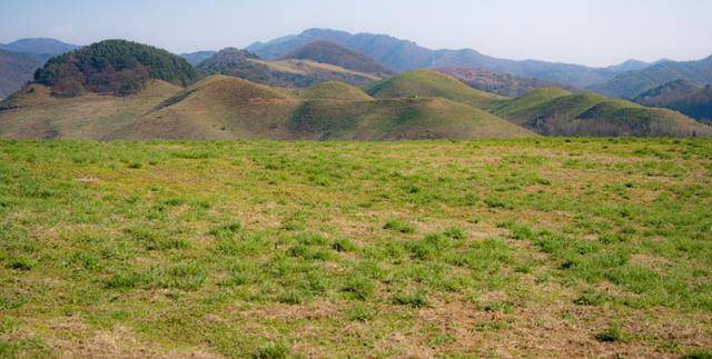 충남 서산시 서산한우목장에 언덕이 봉긋하게 솟아올라 있다.
