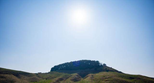 충남 서산시 서산한우목장 위로 밝은 태양이 빛나고 있다.