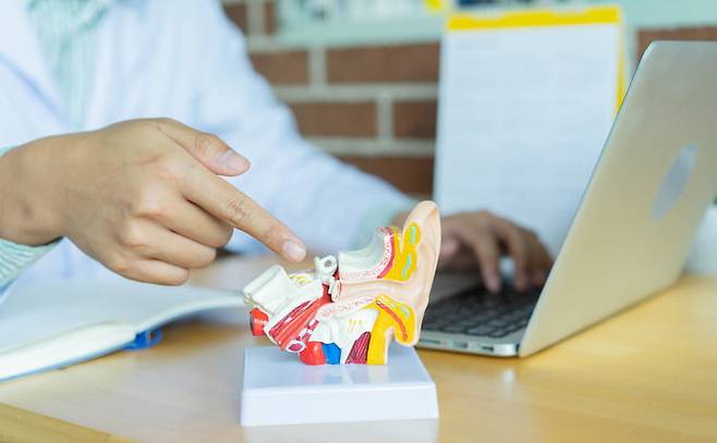 사진은 기사 내용과 관련이 없음. /게티이미지뱅크