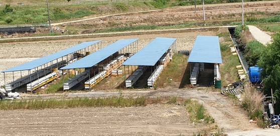 A bee farm in Jecheon, North Chungcheong [KIM BYUNG-CHEOL]