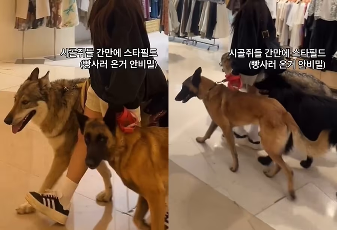 [사진출처 = SNS 갈무리]