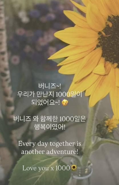 뉴진스 멤버들 소셜 계정 캡처