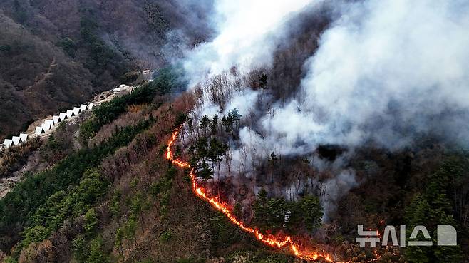 [산청=뉴시스] 차용현 기자 = 지난달 27일 오후 지리산국립공원과 맞닿은 경남 산청군 구곡산에 난 산불이 마을 쪽으로 향하고 있는 모습. 2025.03.27. con@newsis.com