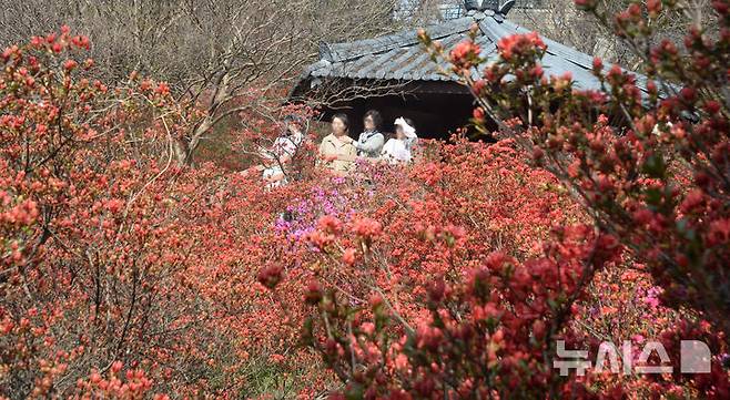 [전주=뉴시스] 김얼 기자 = 완연한 봄 날씨가 이어지고 있는 16일 전북 전주시 완산칠봉 꽃동산에 봄 꽃들이 개화하기 시작했다. 2025.04.16. pmkeul@newsis.com