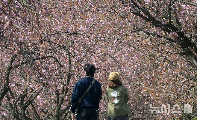 [전주=뉴시스] 김얼 기자 = 완연한 봄 날씨가 이어지고 있는 16일 전북 전주시 완산칠봉 꽃동산에 봄 꽃들이 개화하기 시작했다. 2025.04.16. pmkeul@newsis.com