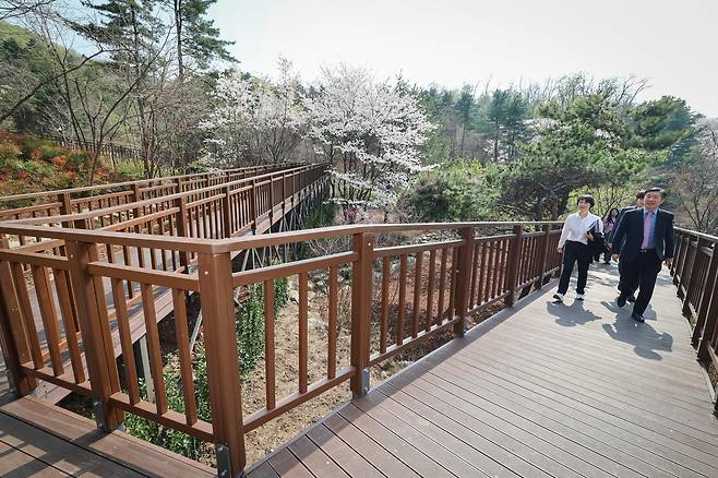 우면산 무장애숲길 2단계 구간 개방 [서초구 제공. 재판매 및 DB 금지]
