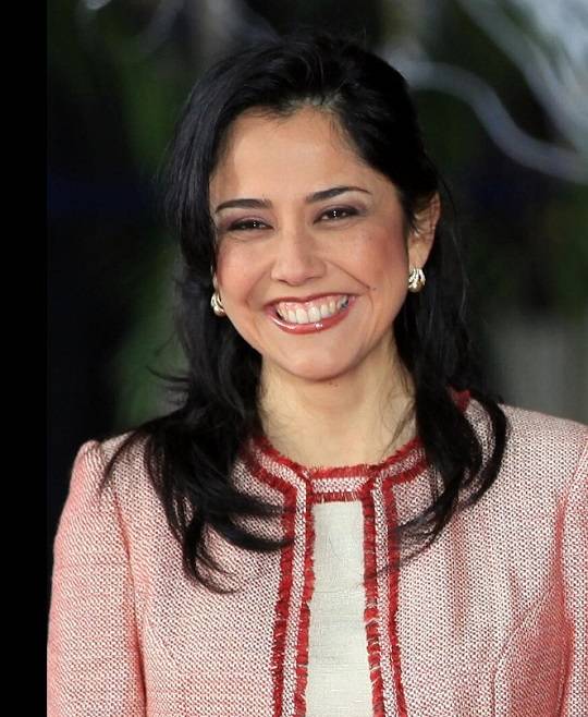 16일 브라질로 망명한 페루 전 대통령 부인 나딘 에레디아.(사진/뉴시스)