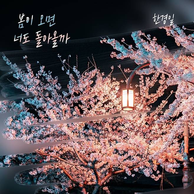 한경일. 사진 | 요구르트 스튜디오