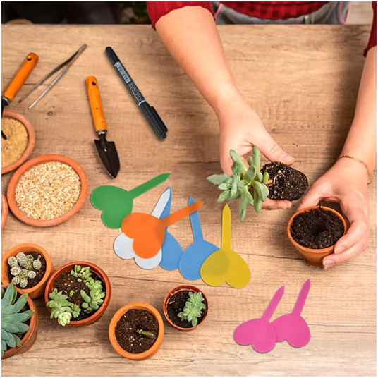 50개입 묘목 표지판