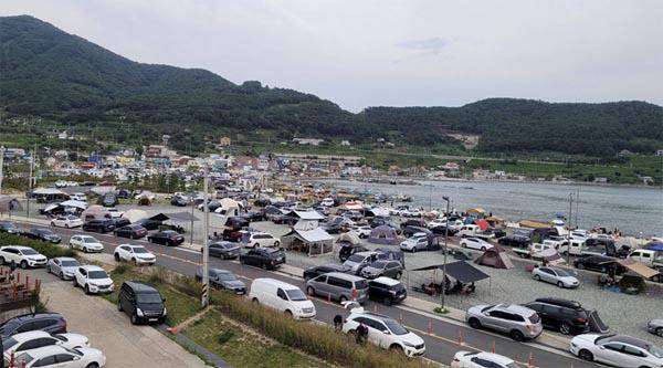부산 천성항 일대 유휴지 곳곳에 캠핑을 위한 텐트가 설치돼 있다.  강서구의회 제공