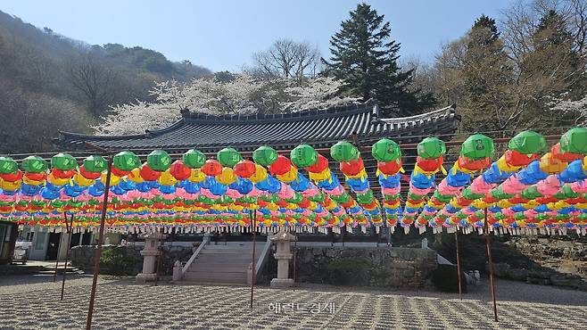 장유사 대웅전 앞뜰