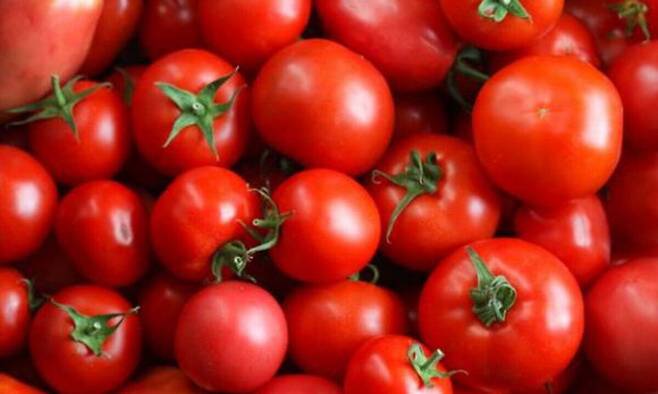 사진=게티이미지뱅크