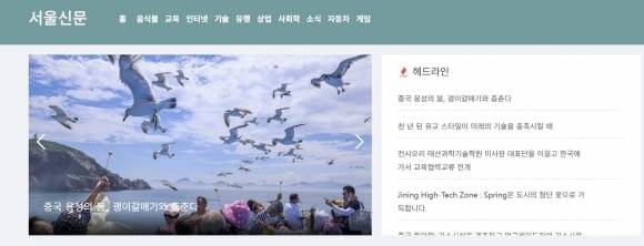 중국의 언론홍보업체 ‘취안메이셔’(Quanmeishe)가 국내 언론사인 ‘서울신문’과 동일한 이름으로 만든 온라인 사이트. 해당 사이트 홈페이지 캡처