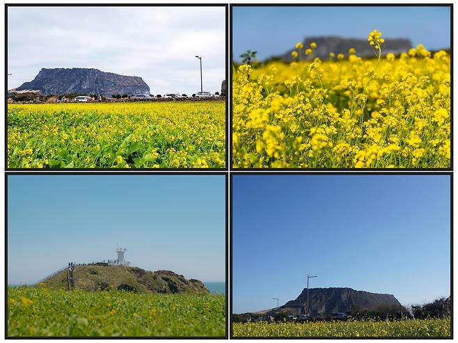 성산일출봉: 제주 서귀포시 성산읍 성산리 1