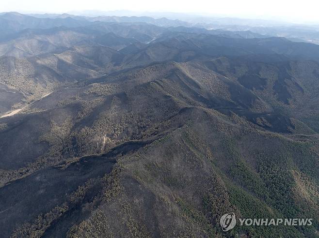 산불이 할퀸 자국 (안동=연합뉴스) 류영석 기자 = 30일 주불 진화가 완료된 경북 안동시 남후면의 산들이 까맣게 타 있다. 2025.3.30 ondol@yna.co.kr