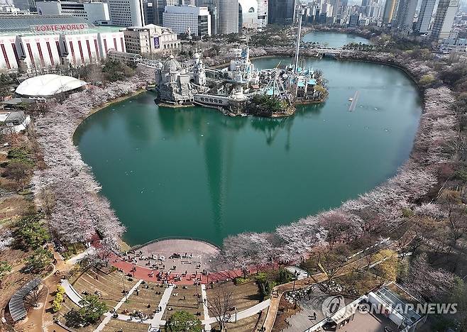 석촌호수 둘러싼 벚꽃 (서울=연합뉴스) 김성민 기자 = 주말인 6일 서울 송파구 석촌호수에 벚꽃이 활짝 피어 있다. 2025.4.6 ksm7976@yna.co.kr