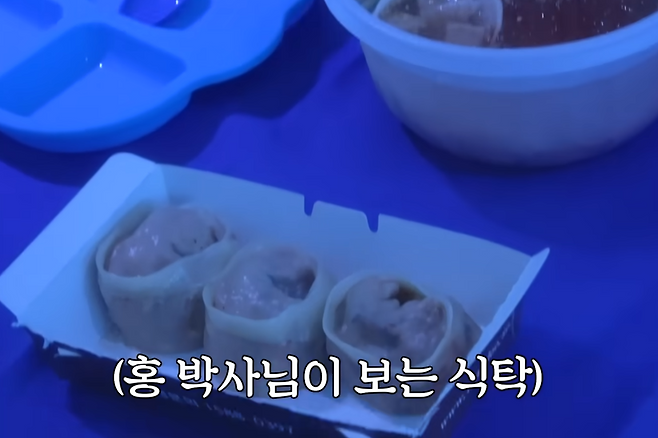 파란색으로 보이는 만두