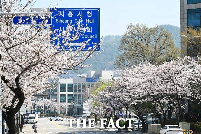 시청로 풍경./시흥시