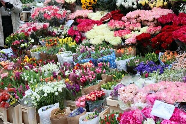 전체 영역 자동 초점으로 촬영한 사진. 화각 가득한 피사체에 고르게 초점이 맞았다. (사진=지디넷코리아)