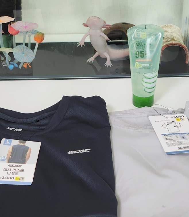 7ced8076b4856cf43eef98bf06d604039e5764a9aaf982a3805fa1