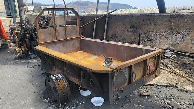 산불로 폐허가 된 경북 영덕군 축산면 경정3리 마을. 영덕=박태근 기자 ptk@donga.com