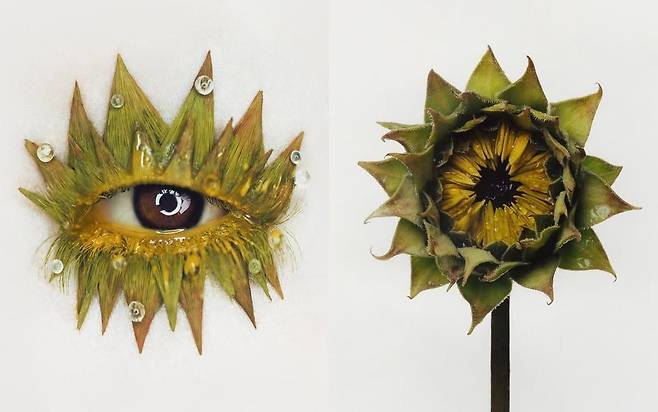 조기석의 FLOWER STUDY.