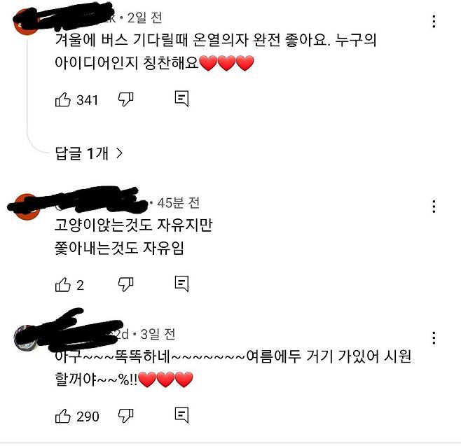 SNS에서 화제인... 버스의자를 점령한 고양이